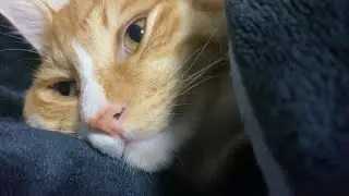 横を見たらイケメンが寝てた