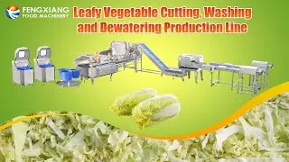 Automatic Cabbage Processing Line | Coring, Shredding, Washing & Centrifugal Dewatering System