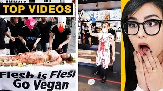 I Found Someone Worse Than Vegan Teacher | SSSniperWolf