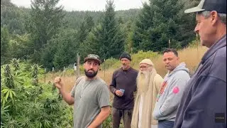 Ganjier/Беседы с культиваторами: Pineapple Dragon (Farm Cut) Никка Т., Джонни Касали, Джесси Хилл
