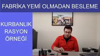 Kurbanlık Hayvanlar Nasıl Beslenir, Besi Rasyonları, Fabrika Yemsiz Besleme, Yem Nasıl Yapılır
