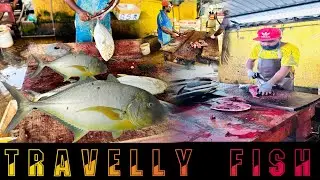 Oh! 😯 Negombo Fish Market at 2 AM: Amazing Fish Cutting, Skilled Cutters & More! 🐟🌙🔪✨ #fishcutting