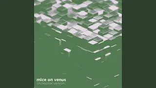Mice On Venus