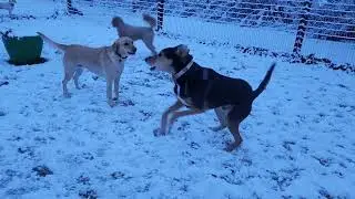 Addie and Finn snow fun