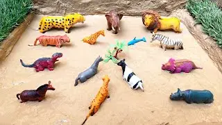 Cleaning toy animal elephant, dinosaur, zebra, cheetah, lion, horsh, rhino, giraffe, cow and tiger 