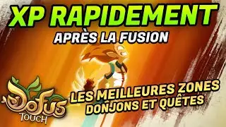 GAGNER DE L'XP RAPIDEMENT SUR DOFUS TOUCH APR&Egrave;S LA FUSION