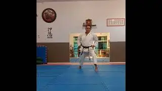 Nanbeikai Genseiryu Butokukai!Goten Tachi kata no Kata, cria&ccedil;&atilde;o Sensei Antonio Lima !!