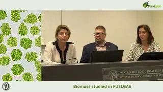 Interview with NTUA: Biochar improving soil fertility for sustainable agriculture practices.