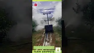 Fog Power! Smart Sprayer for Fruit Trees 🍑💨 #shortsvideo