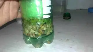 filtro para acuario casero