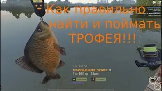 theFisher Online /Как найти и поймать ТРОФЕЯ!!!