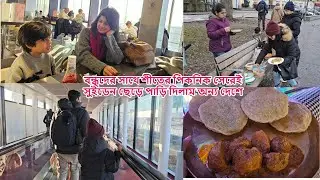 বন্ধুদের সাথে শীতের পিকনিক সেরেই সুইডেন ছেড়ে পাড়ি  দিলাম অন্য দেশে #sweden