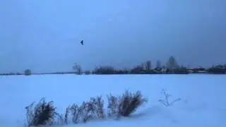 Skywalker x5 снова в небе!