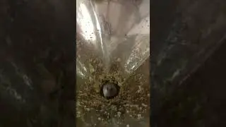 Ginger Paste grinder machine