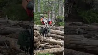 Pack Goat 4x4