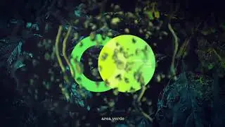 Reborn - Original Mix indifferent Guy, ODYSSAY
