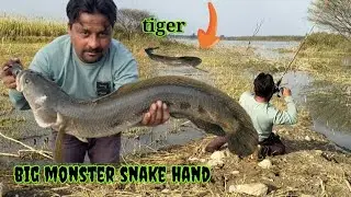 Big monster snake hand big fight 🐸 बड़ा मरल पकड़ने के लिए लगाना पड़ा काफी दम😱#fishing #snakehead 