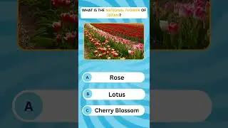 Can You Solve This Quiz Question in 30 Seconds? 😲 | #quizchallenge  #quizshorts  #dailytrivia