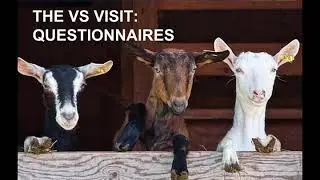 10 NAHMS Goat 2019 VS Questionnaire Sec  A B
