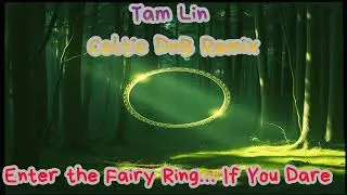 Tam Lin &mdash; Celtic Drum&rsquo;n&rsquo;Bass Remix Instrumental