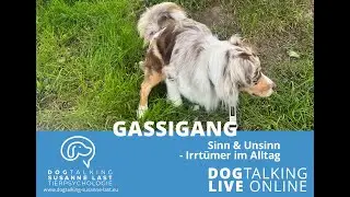 GASSIGANG: Sinn und Unsinn - Irrt&uuml;mer im Alltag