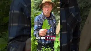#garten #bne #drau&szlig;en #gartentipps #natur #spinat #pflanzen #baumspinat