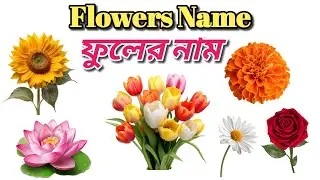 Flower Names in English and Bangla | 50 Flowers Name with Pictures | Kids Learning