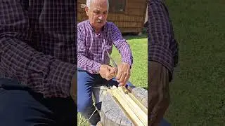 Fazsindely, Székelyvarság