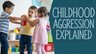 Why Are Children Becoming More Aggressive?