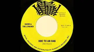 David & The Lynched - Ode To An Oak (60's Garage/Psych Folk Revival)