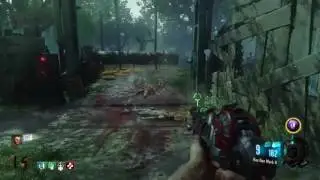 The Flogger Is The Best Trap In Zombies