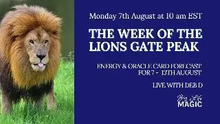 The PEAK of the LIONS GATE Portal ~ Oracle Card Insights for the Week
