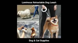 Luminous Retractable Dog Leash Rechargeable LED Light Pet Lead Roulette Rope | Dog & Cat Supplies