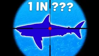 OP Loot Fish INFINITE MONEY Script *WORKING* (KEYLESS)