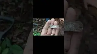 achei detectando no antigo terreno onde encontrei as moedas de reis