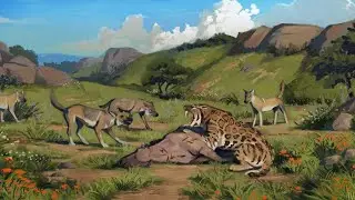LIFE OF A SMILODON 20.000 YEARS AGO