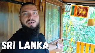 SRI LANKA | $12 Tree House - Would You Stay Here? 🇱🇰