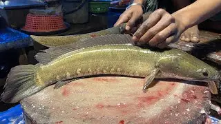 Fresh Snakehead Fish Cutting Process | Traditional Market Fish Cutting