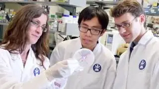 Be the Change: Master of Infectious Disease and Global Health