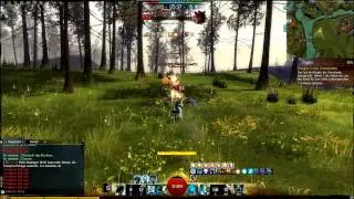 Guild Wars 2 Guardian/W&auml;chter WvW Solo Roaming