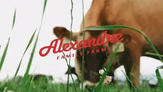 America's 1st Certified Regenerative Organic Dairy.  Grass-pastured 100% A2/A2 organic milk!