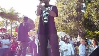 Ludacris Performs 