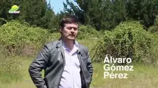 Qu&eacute; es Agrofuturo?