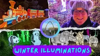 Winter Illuminations at Yorkshire Wildlife Park