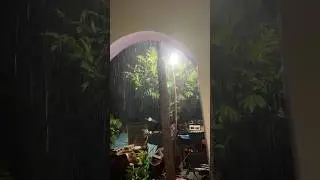 🔴Обновления в режиме реального времени с Ямайки 🇯🇲 Отслеживание урагана Мелисса 27.25 окт. #урага...