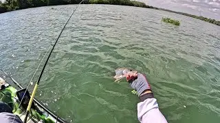 Este LUGAR DAR MEDO peixe foi DEVORADO vivo. Pescaria