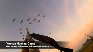 Goose Hunting Western Mn @ Watson Hunting Camp      www.watsonhunting.com
