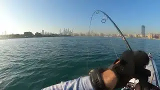 Extraordinary fight with Cobia