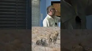 Наблюдение за животными в восточной части Этоши