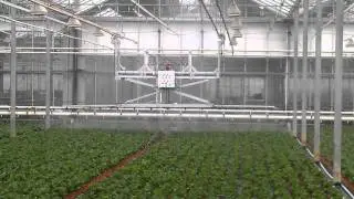 Spuitboom